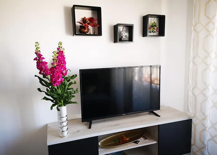 Beachfront Modern And Spacious *